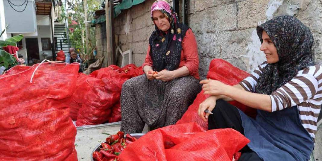 Güneşte pişiyor buram buram emek kokuyor! Adana’da yoğun mesai: Damlarda rengarenk sergileniyor 5